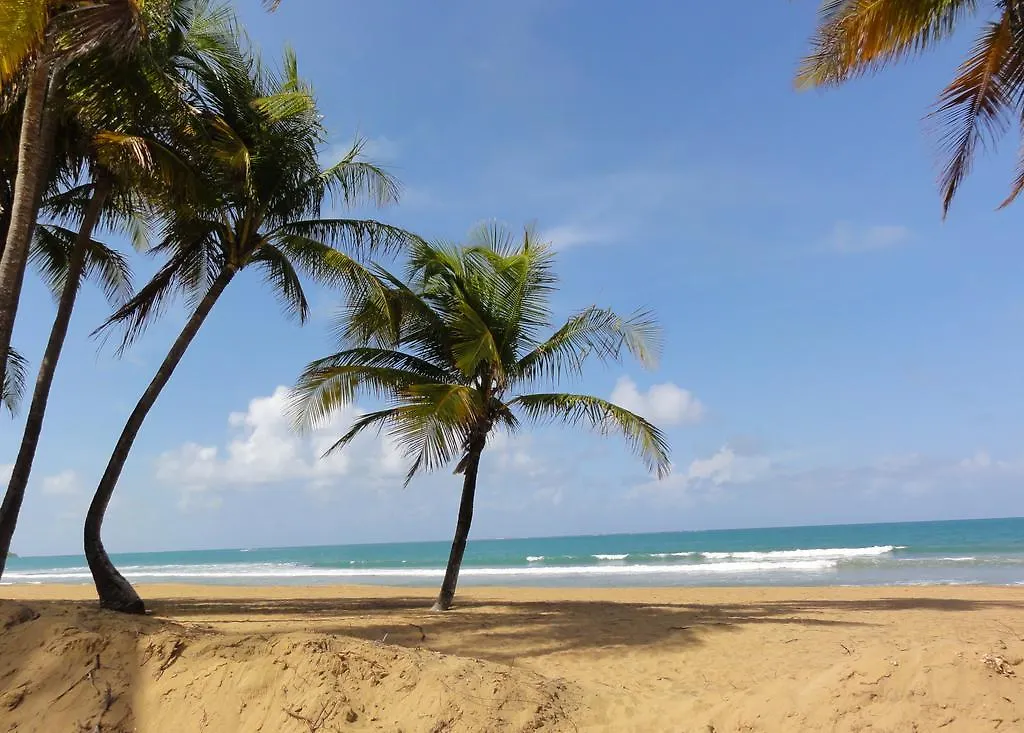 One-Bedroom Oceanfront Villa At Rio Mar Rio Grande Apartment